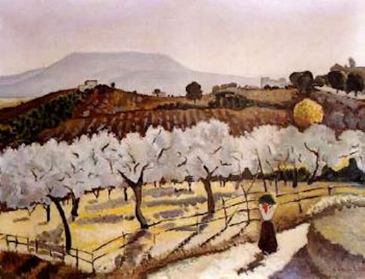 Anagni, big olive grove and hills by Giovanni Colacicchi
