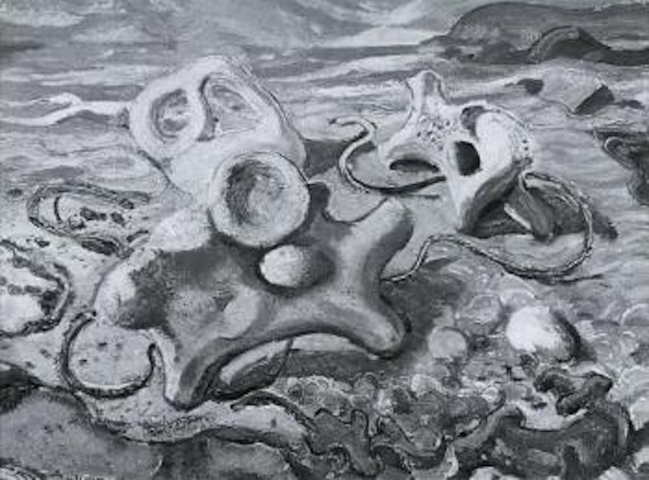Starfish and coral by Arthur Lismer