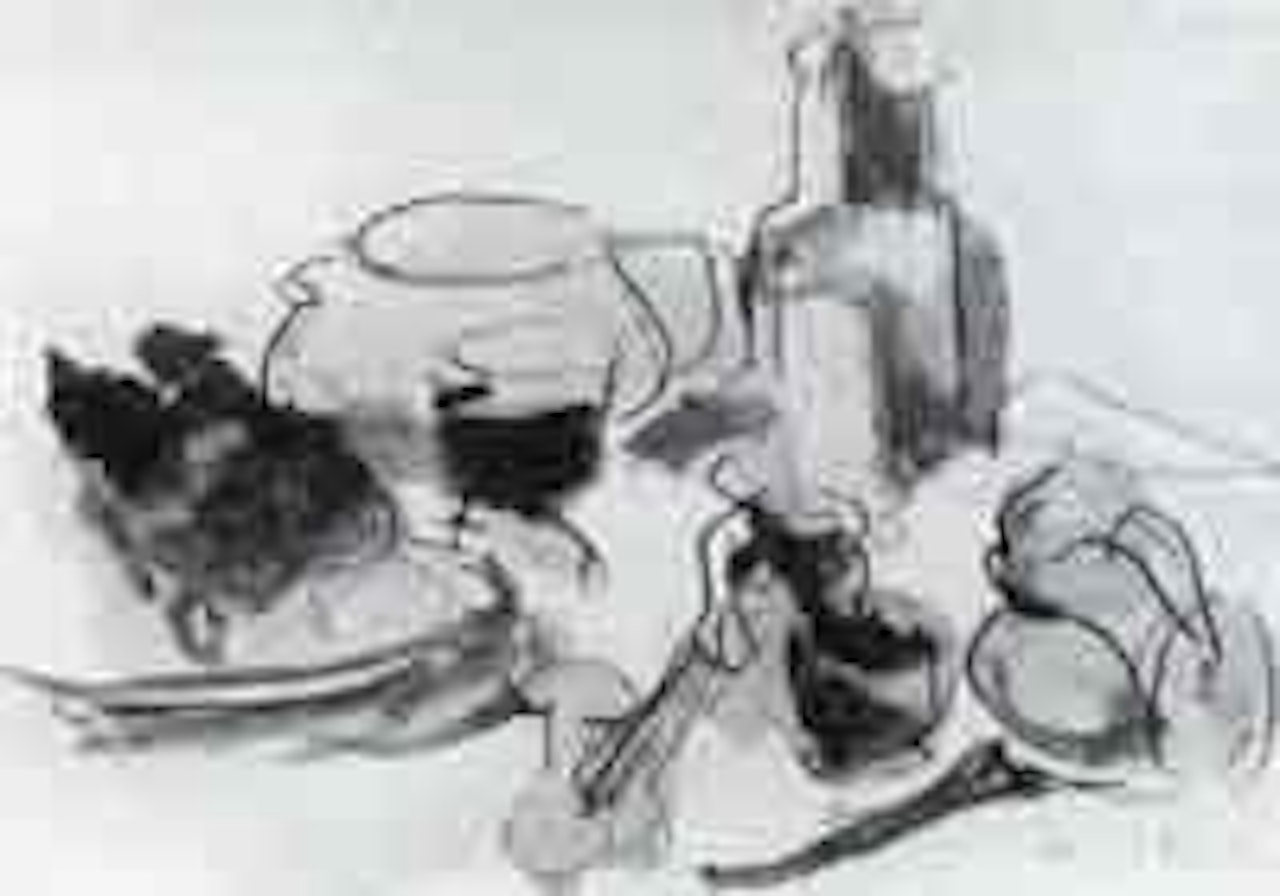 Nature morte by Francis Picabia