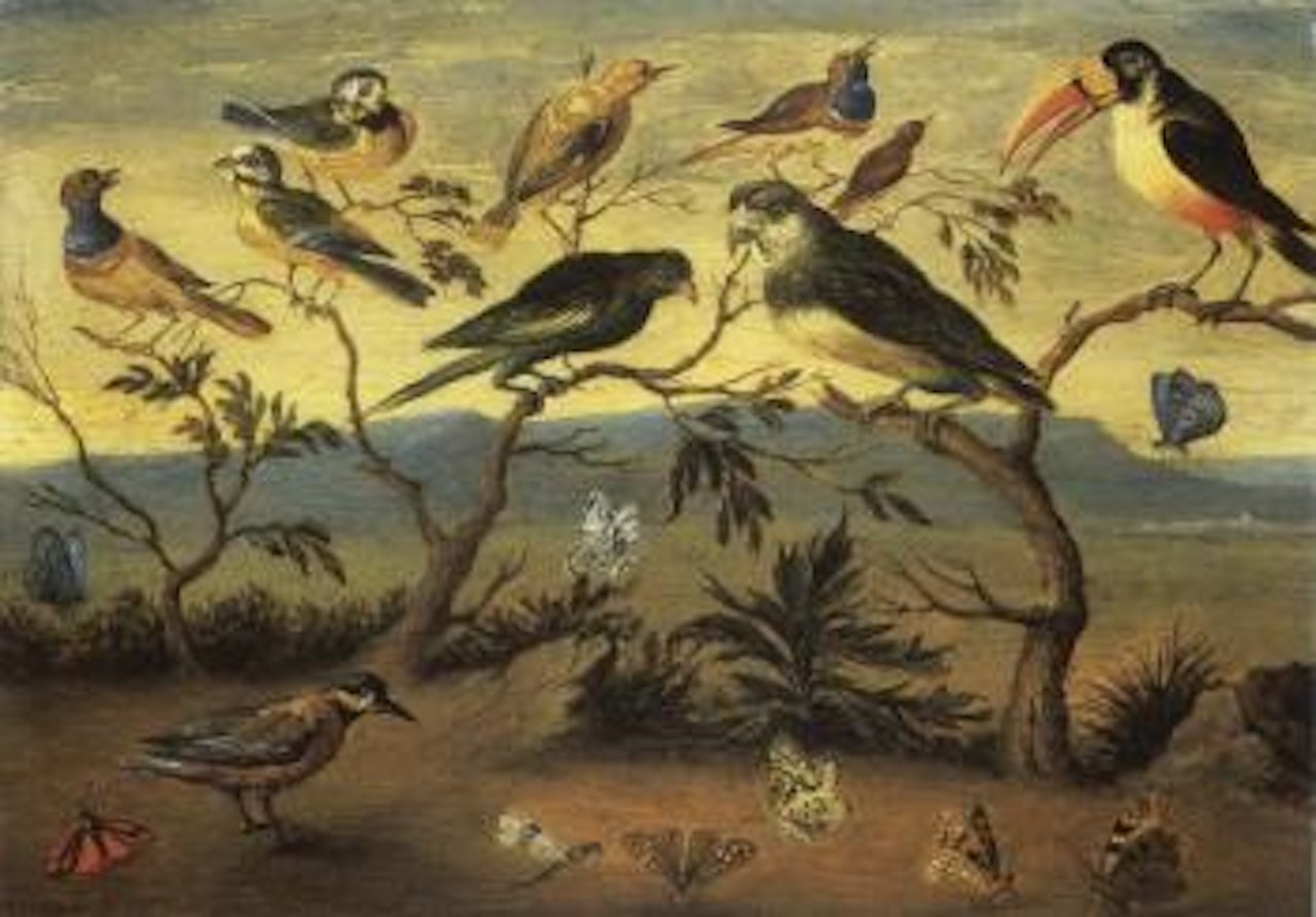 Concert of birds by Jan Van Kessel The Elder