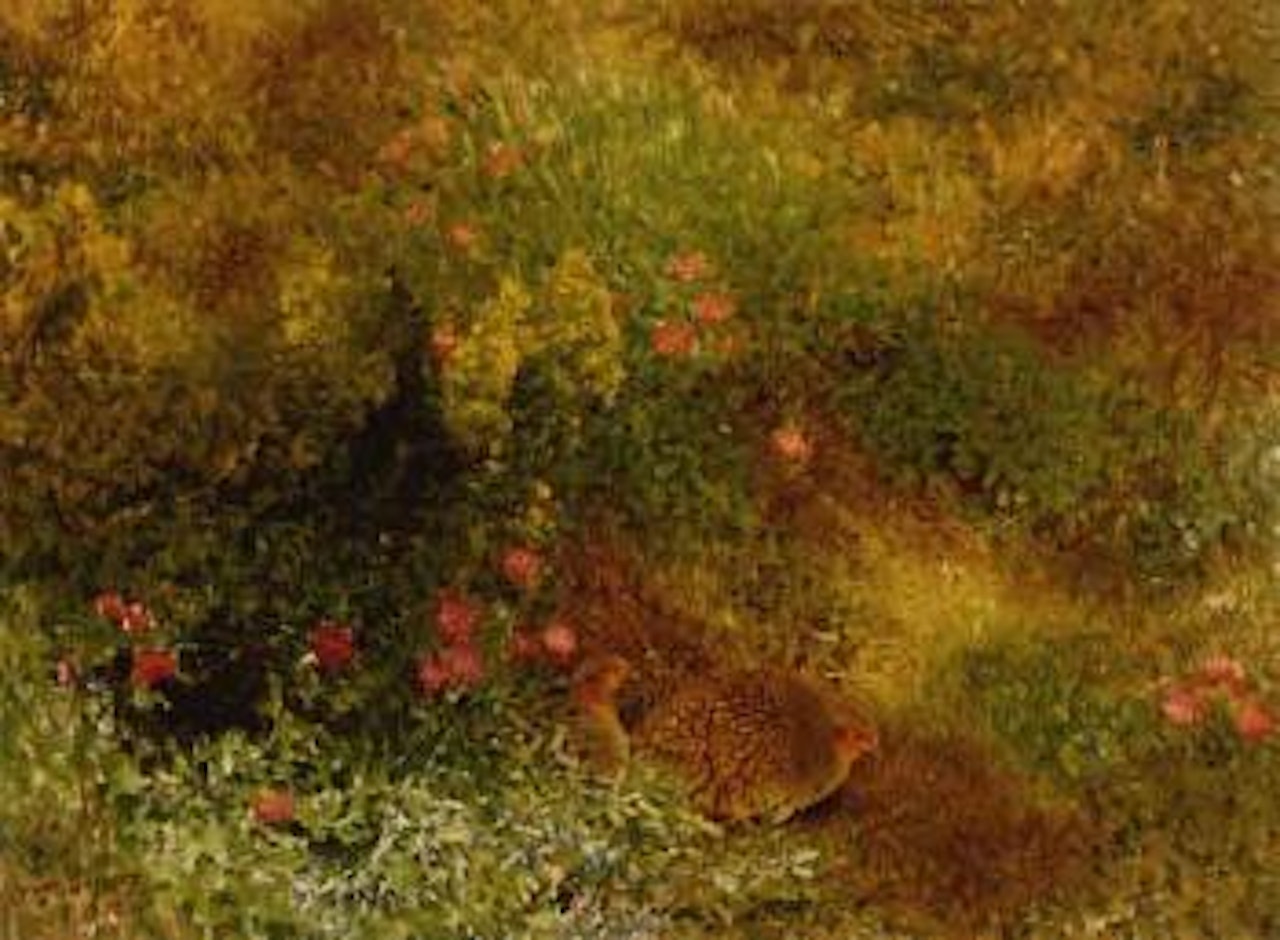Partridge in clower meadow by Bruno Liljefors