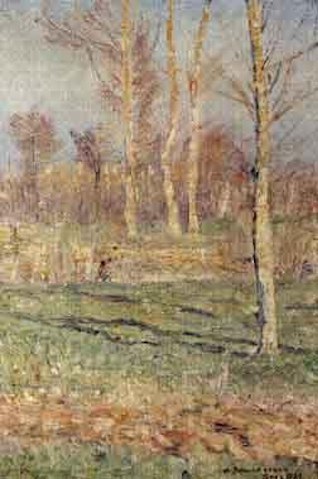 Trees in autumn sunshine by Anshelm Schultzberg