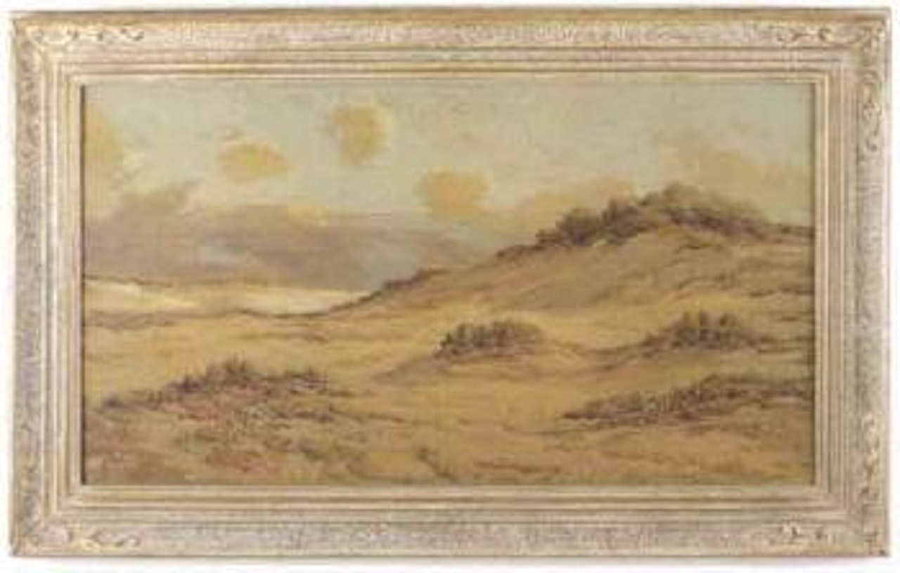 Western landscape with snow capped mountains in background by Angel Espoy