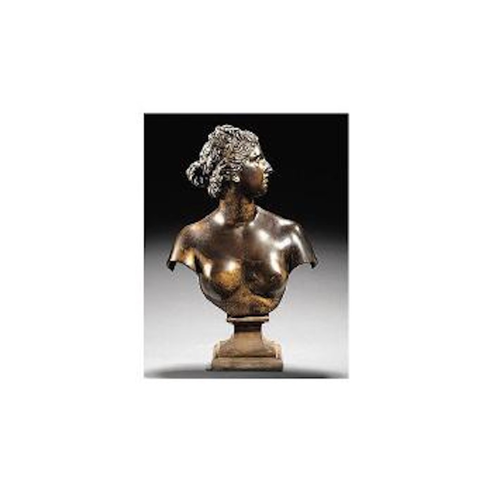 Bust of Venus de Medici by French School