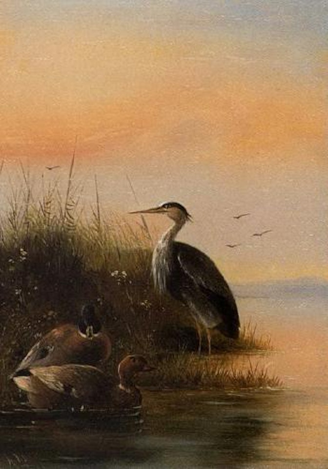 Heron and ducks in water by August Knip