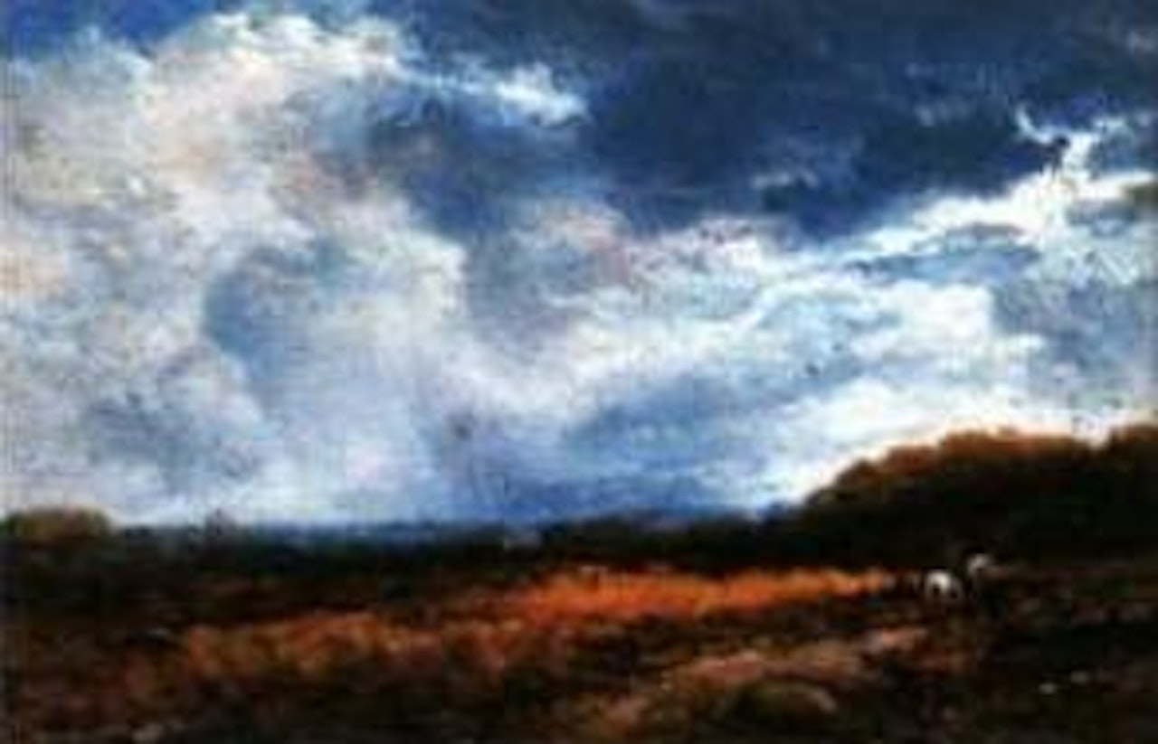 Extensive landscape by James Webb