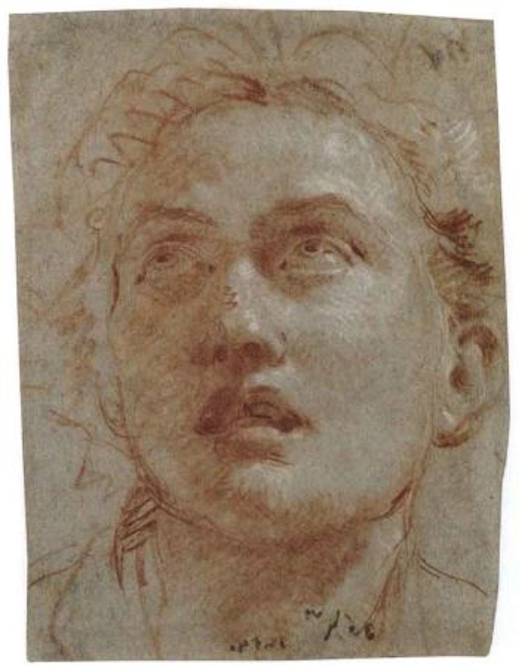 Head of man looking up by Giovanni Battista Tiepolo