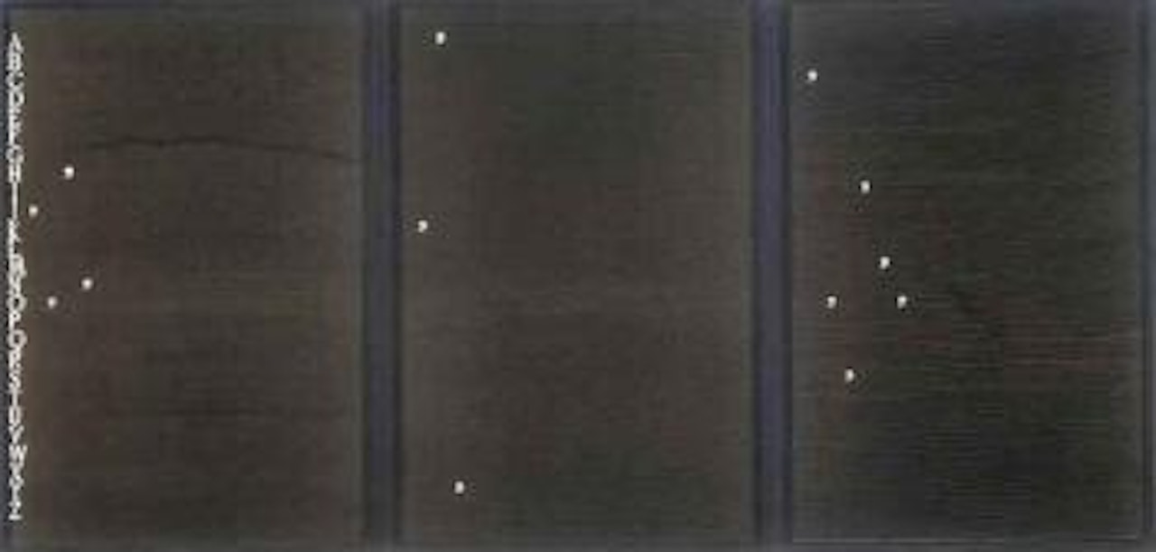 Portrait of John, Kay and Cosimo by Alighiero Boetti