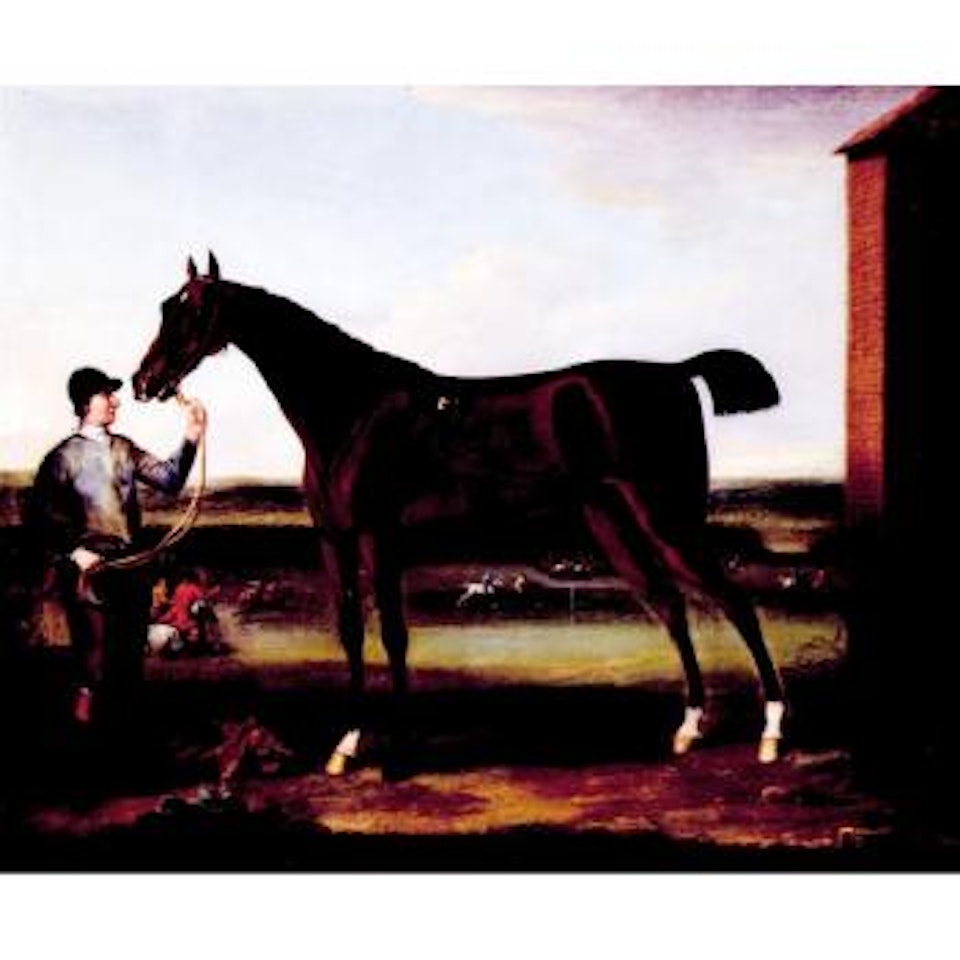 Lord Portmore's Victorious held by a groom at Newmarket by John Wootton