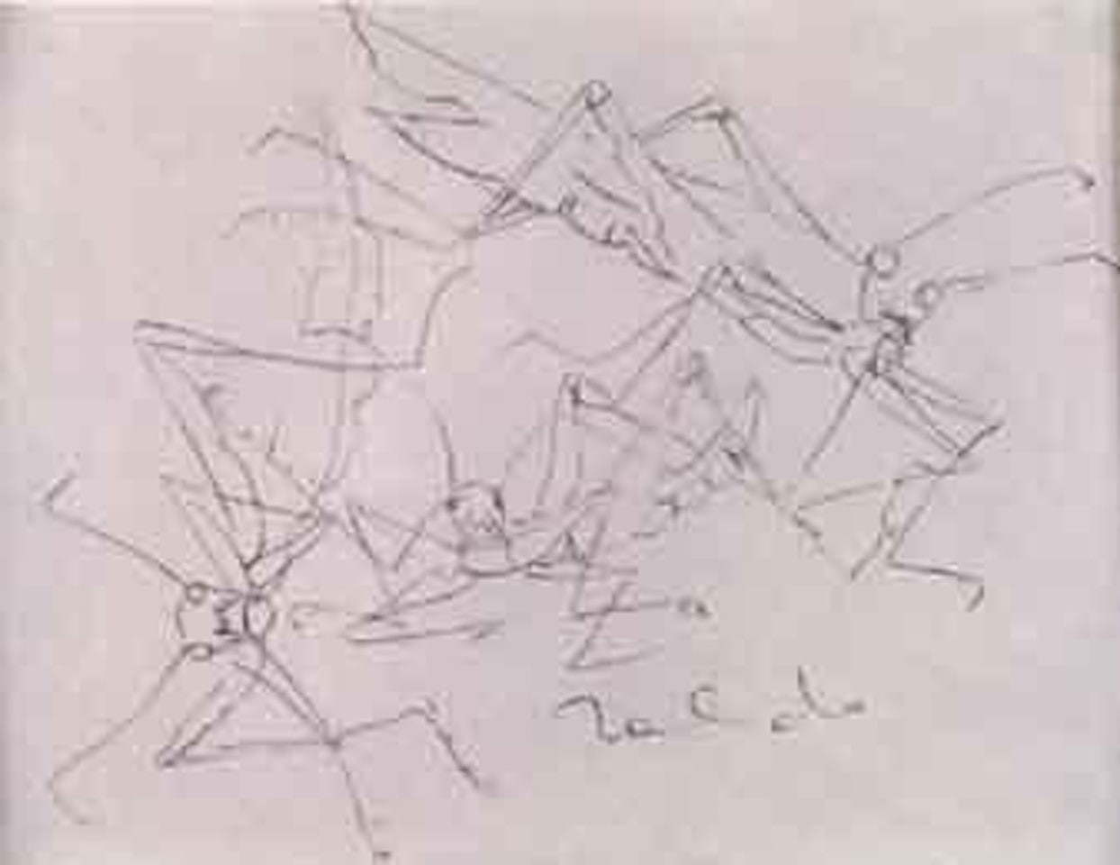 Three grasshoppers by Francisco Toledo