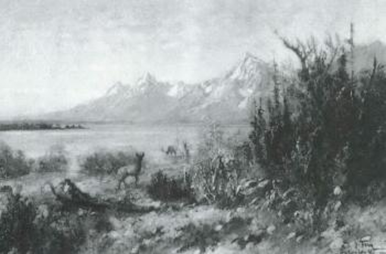 Jackson Lake Wyoming by John Fery