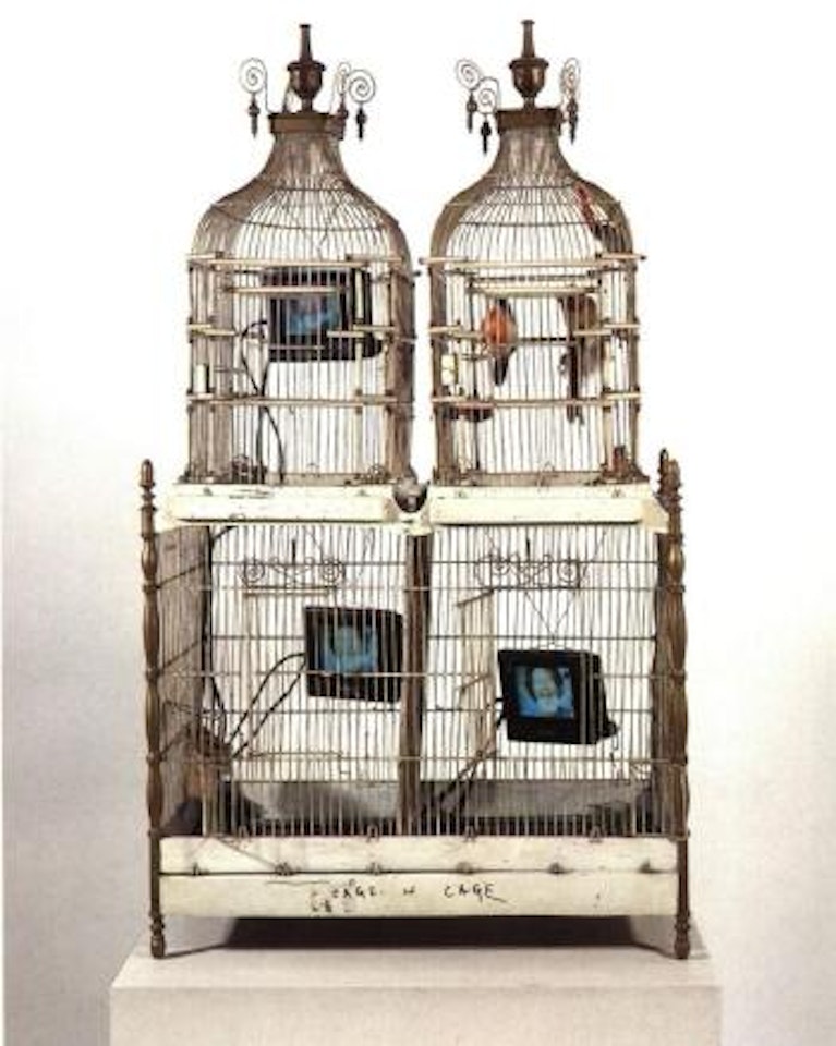 Cage in cage by Nam June Paik