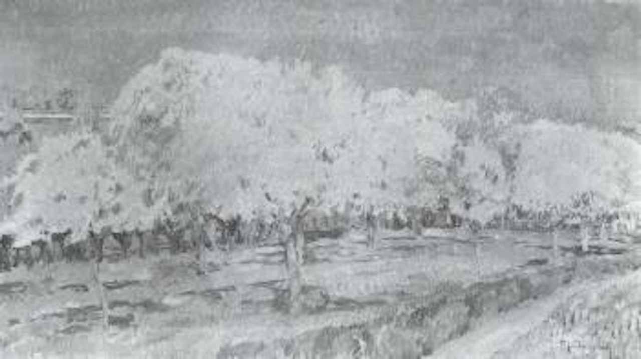 Spring landscape with flowering fruit trees by Max Clarenbach