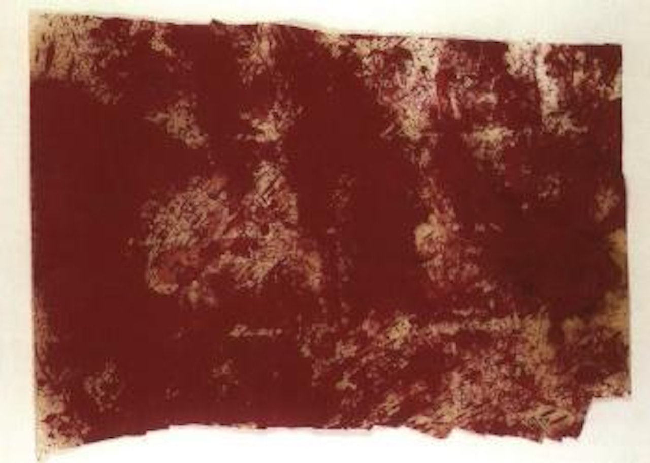 Untitled by Hermann Nitsch