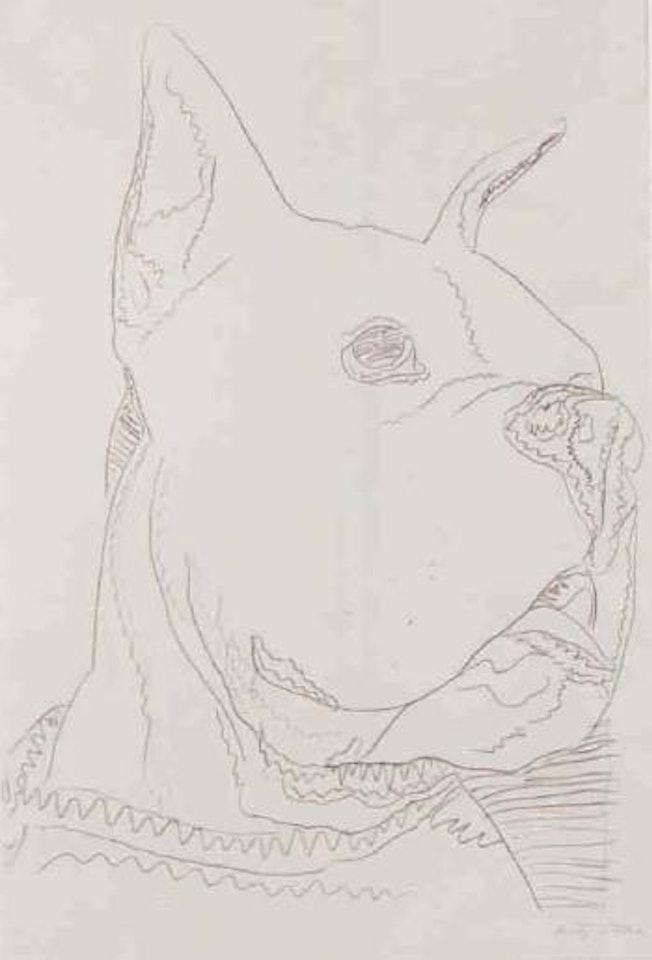 Bull dog by Andy Warhol