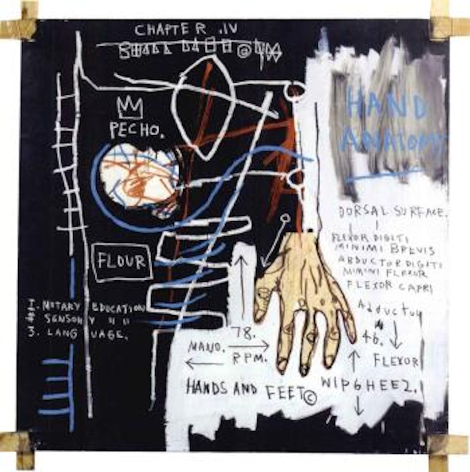Untitled - hand anatomy by Jean-Michel Basquiat