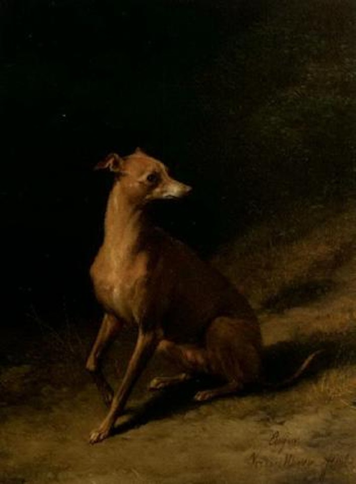 Portrait of a whippet by Eugène Joseph Verboeckhoven