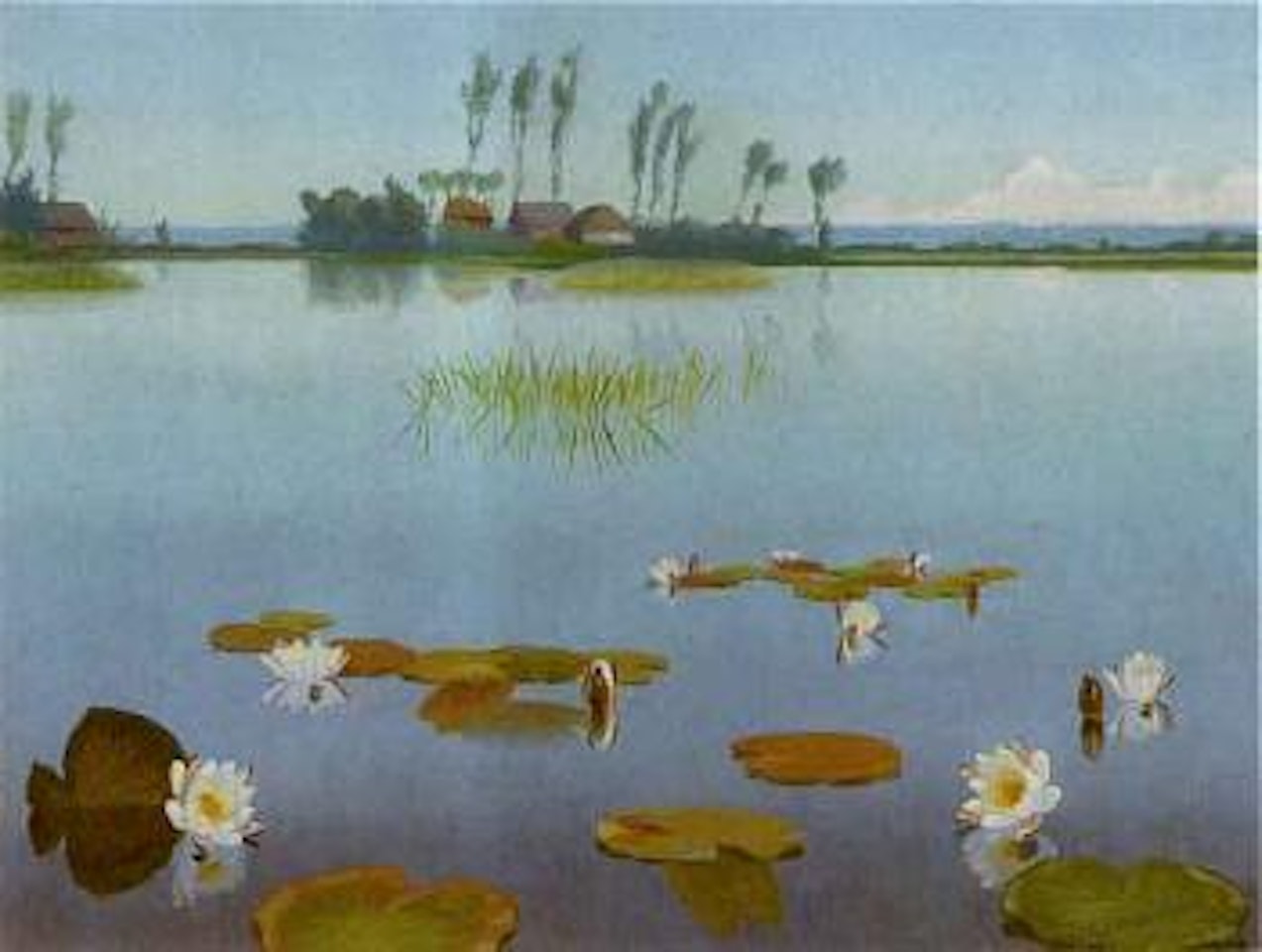 Voorjaar bij ankeveen by Dirk Smoorenberg