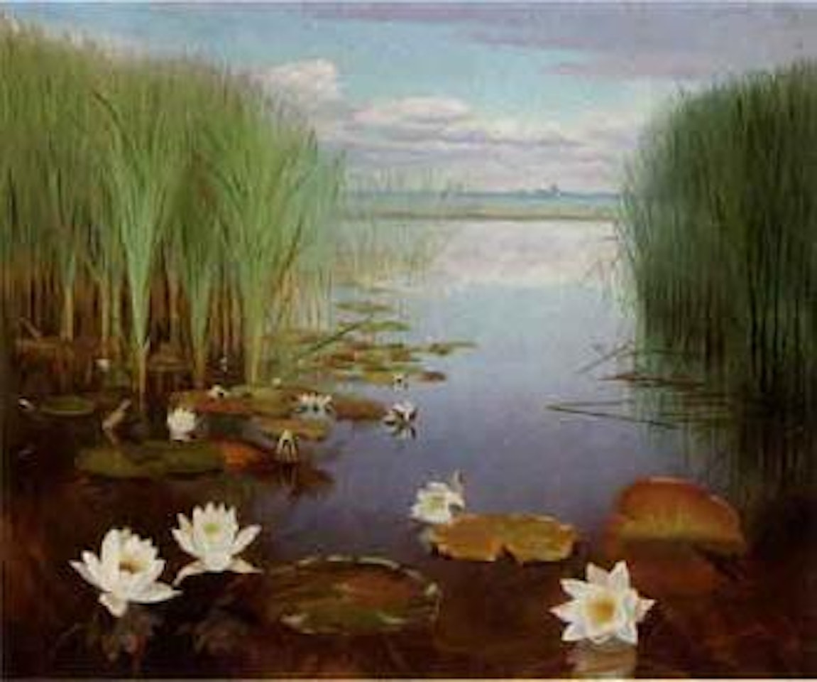 Waterlelies by Dirk Smoorenberg