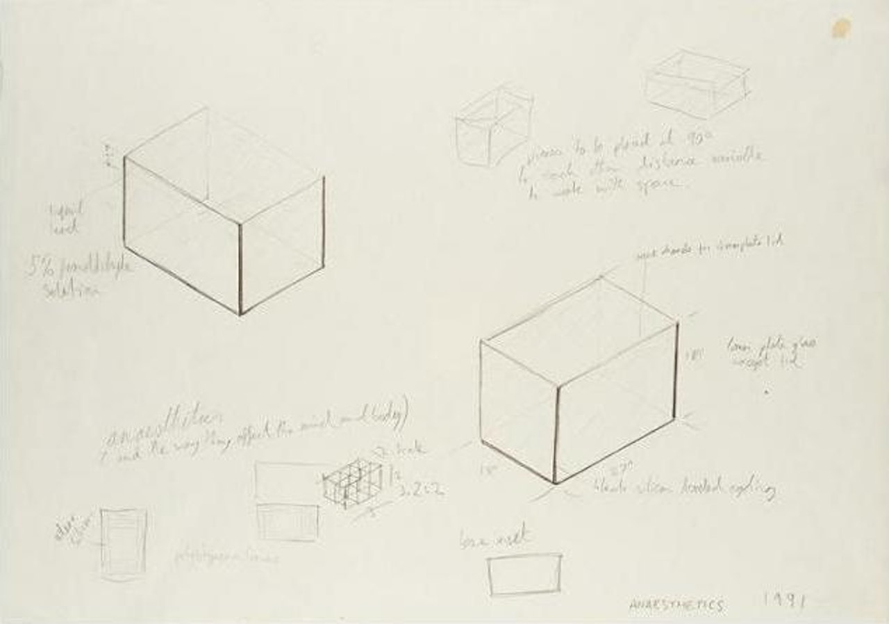 An-aesthetics, and the way they affect the mind and body by Damien Hirst