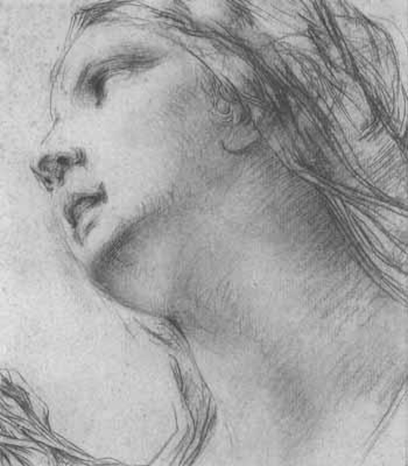 Head of woman seen from below by Pietro IL Vecchio Palmieri