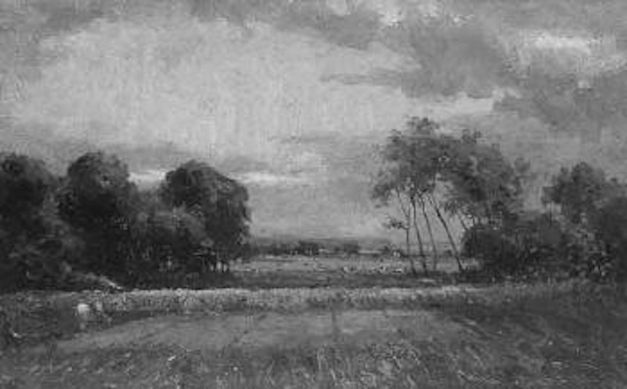 Haddiscoe Marshes by Campbell Mellon