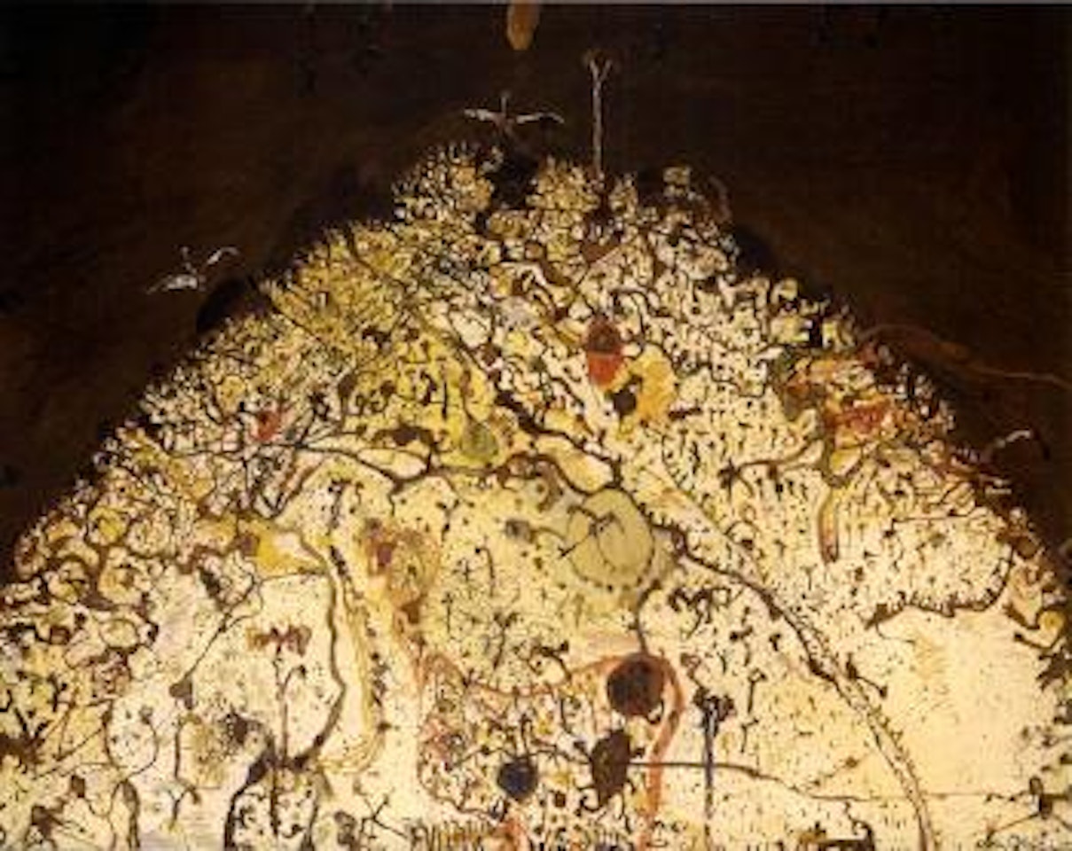 Channel country in flood by John Olsen