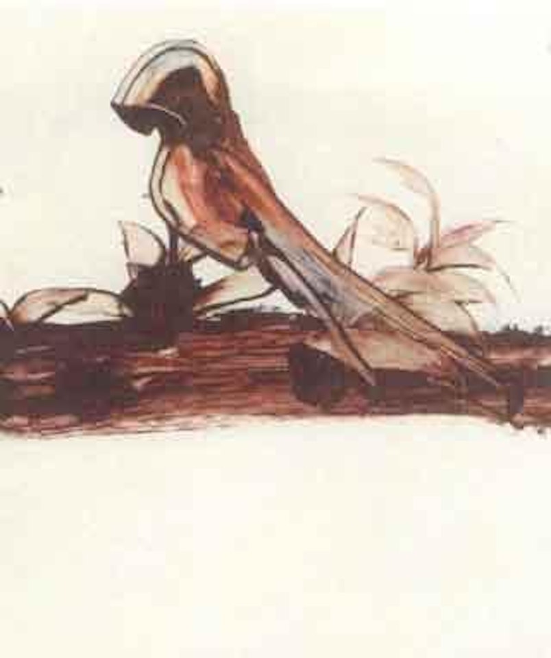 Bird study by Sidney Nolan