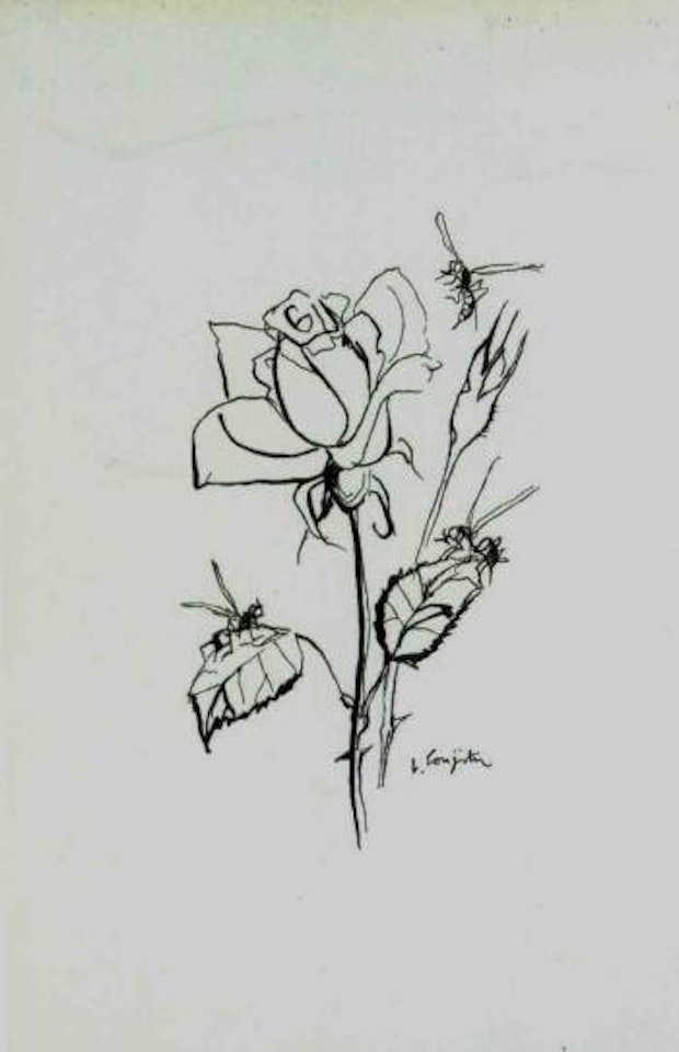 Rose by Leonard Tsuguharu Foujita