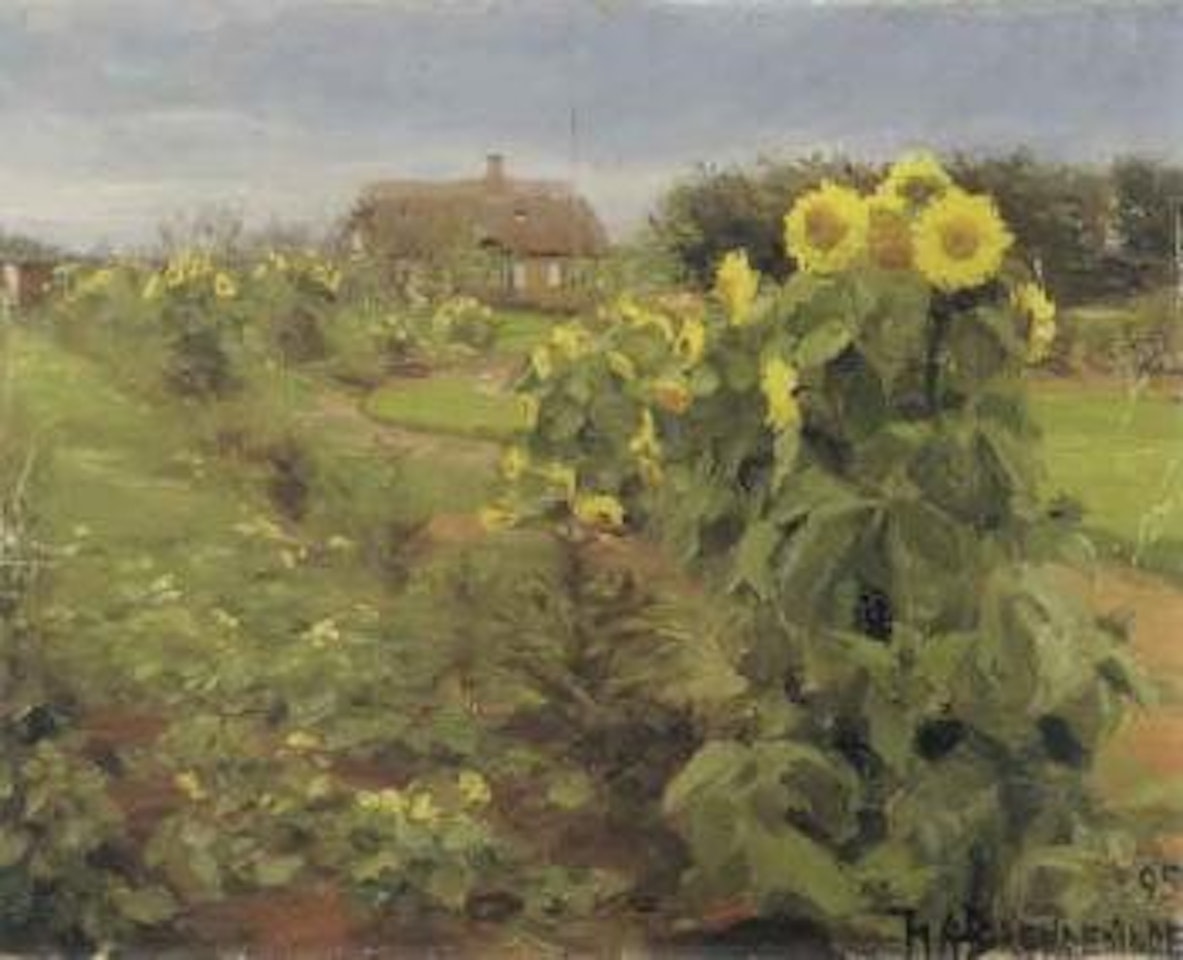 Garden with sunflowers by Hans Andersen Brendekilde