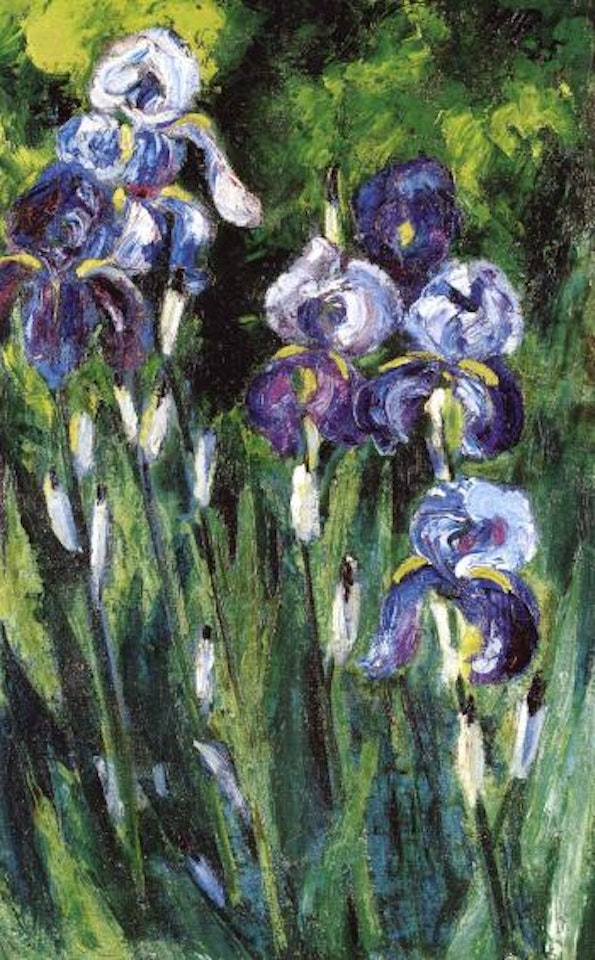 Iris in evening shade by Max Pechstein