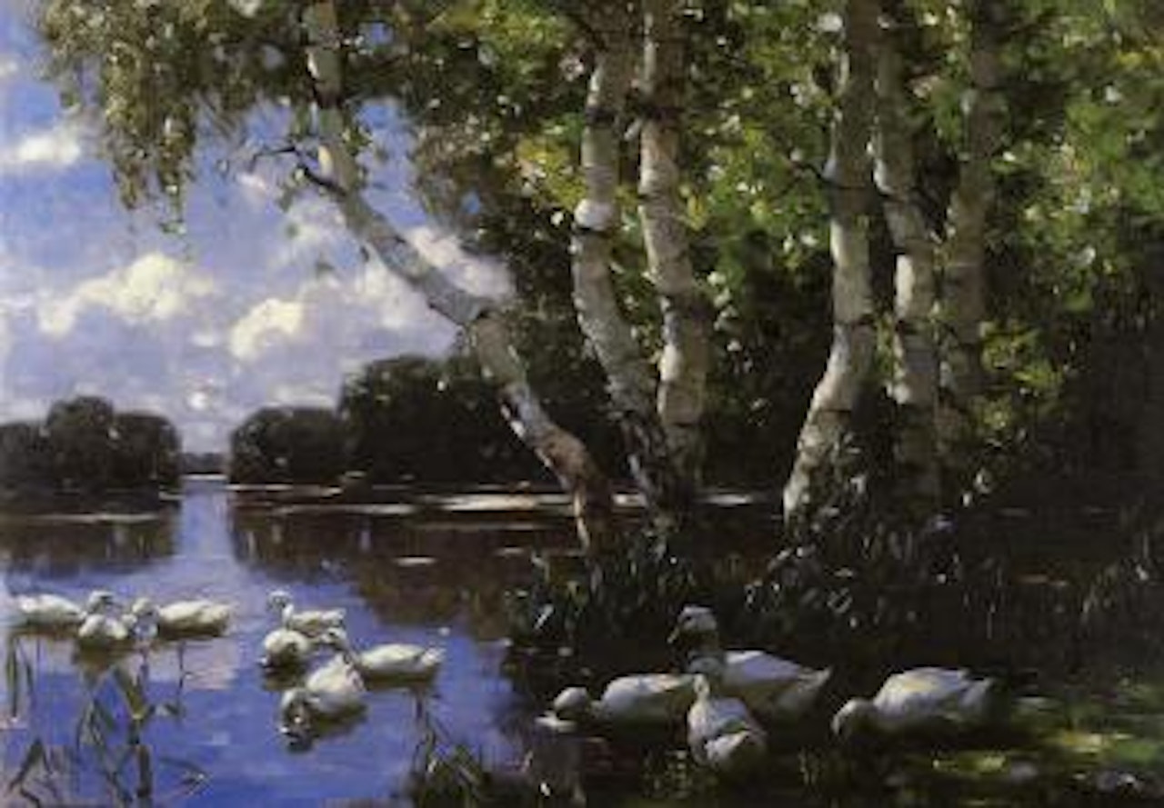 Elf enten unter birken und im wasser - eleven ducks by Alexander Koester