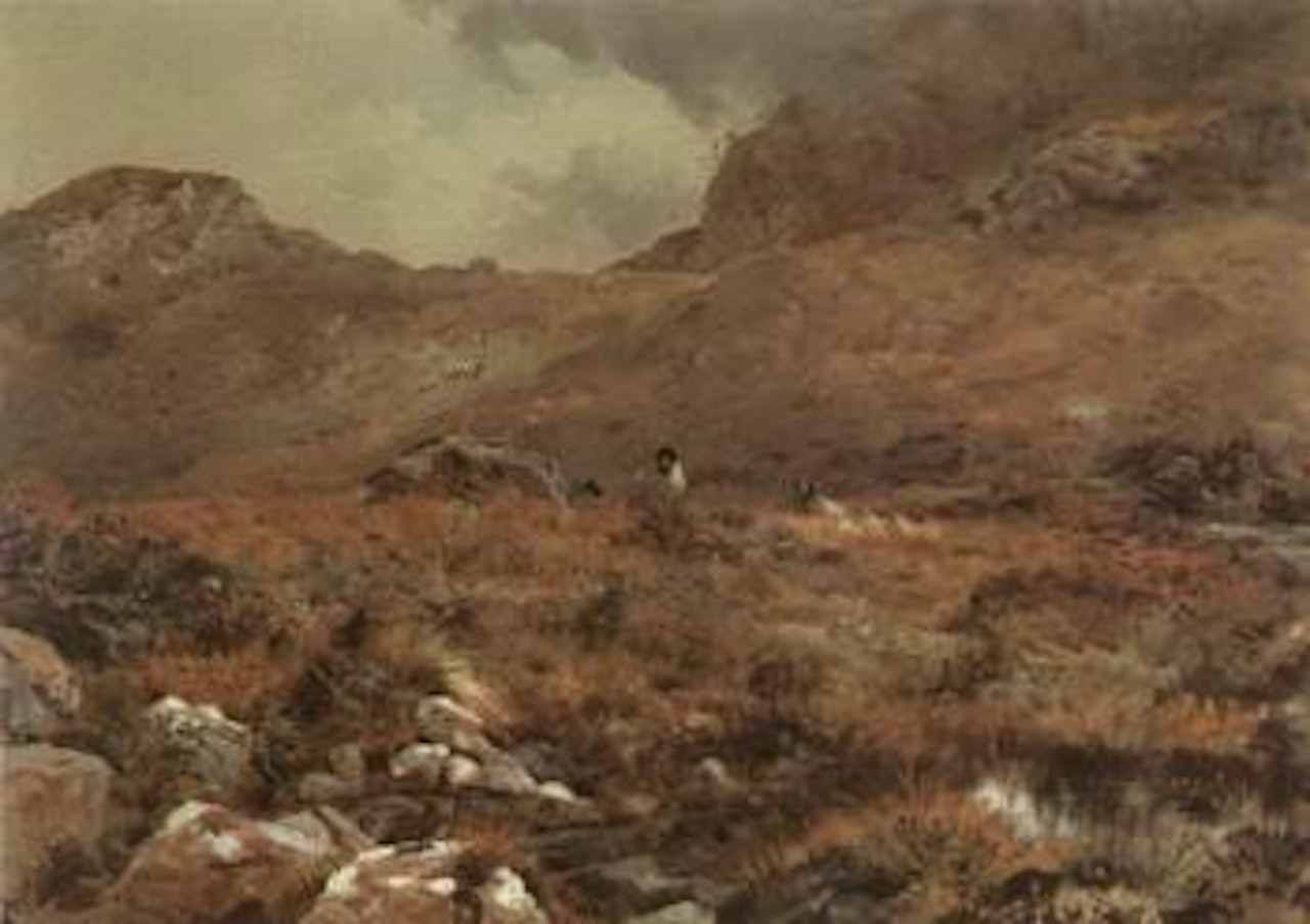Sheep resting in a grouse moor by Archibald Thorburn