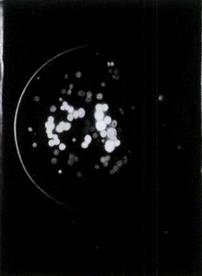 Universe/ Petri dish by Andrew Browne