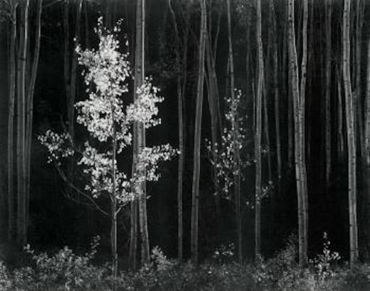 Asoens, Northern New Mexico by Ansel Adams