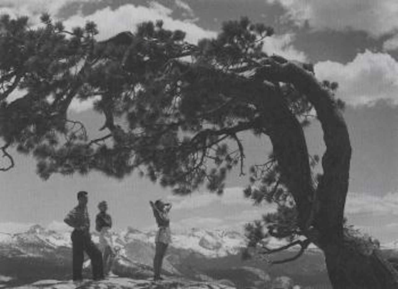 Selected Yosemite views by Ansel Adams