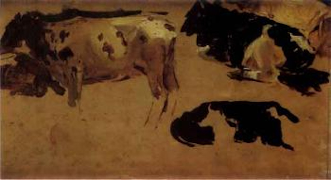 Studies of cows by Joaquin Sorolla Y Bastida