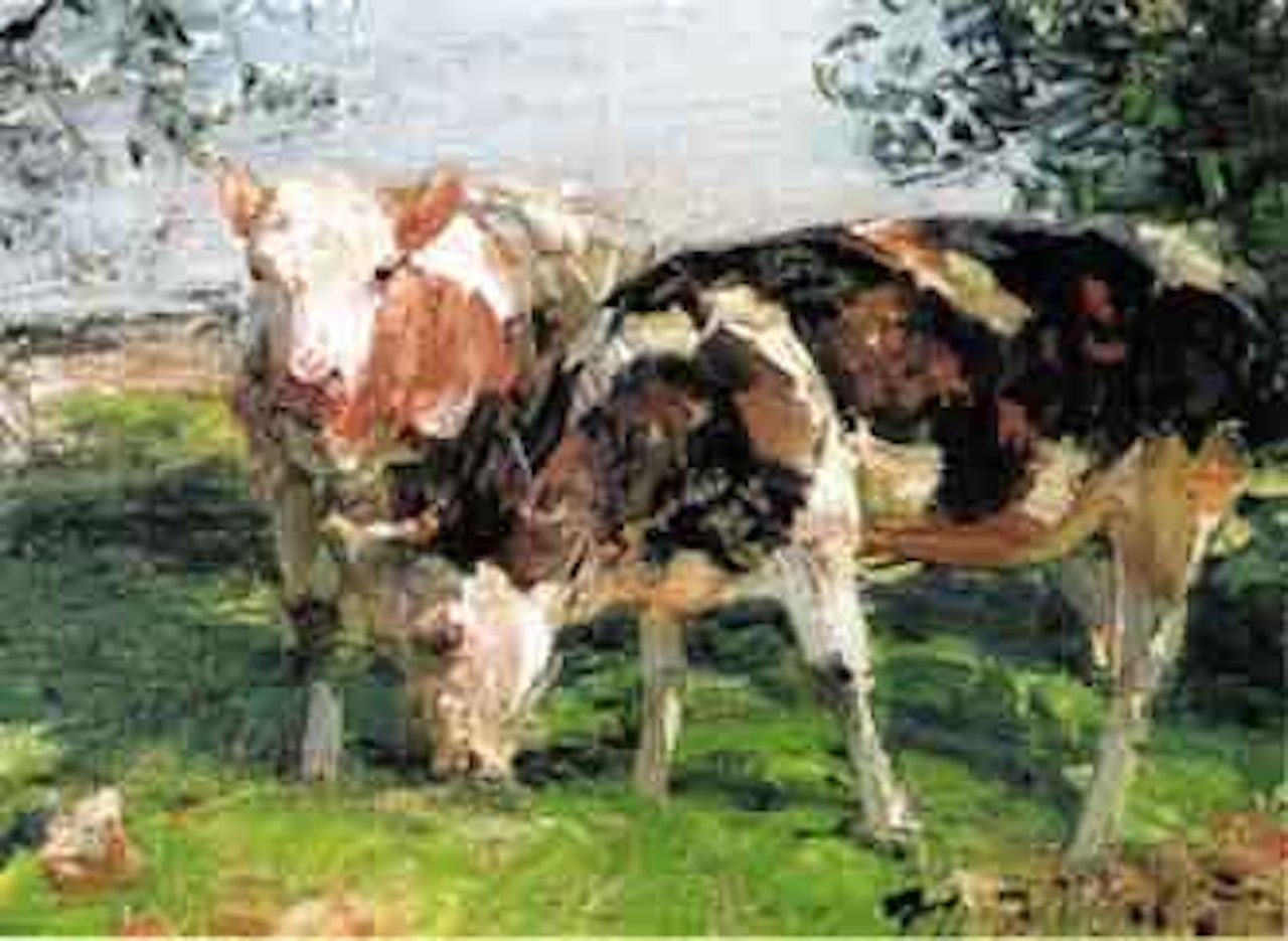Cows grazing by Heinrich von Zugel