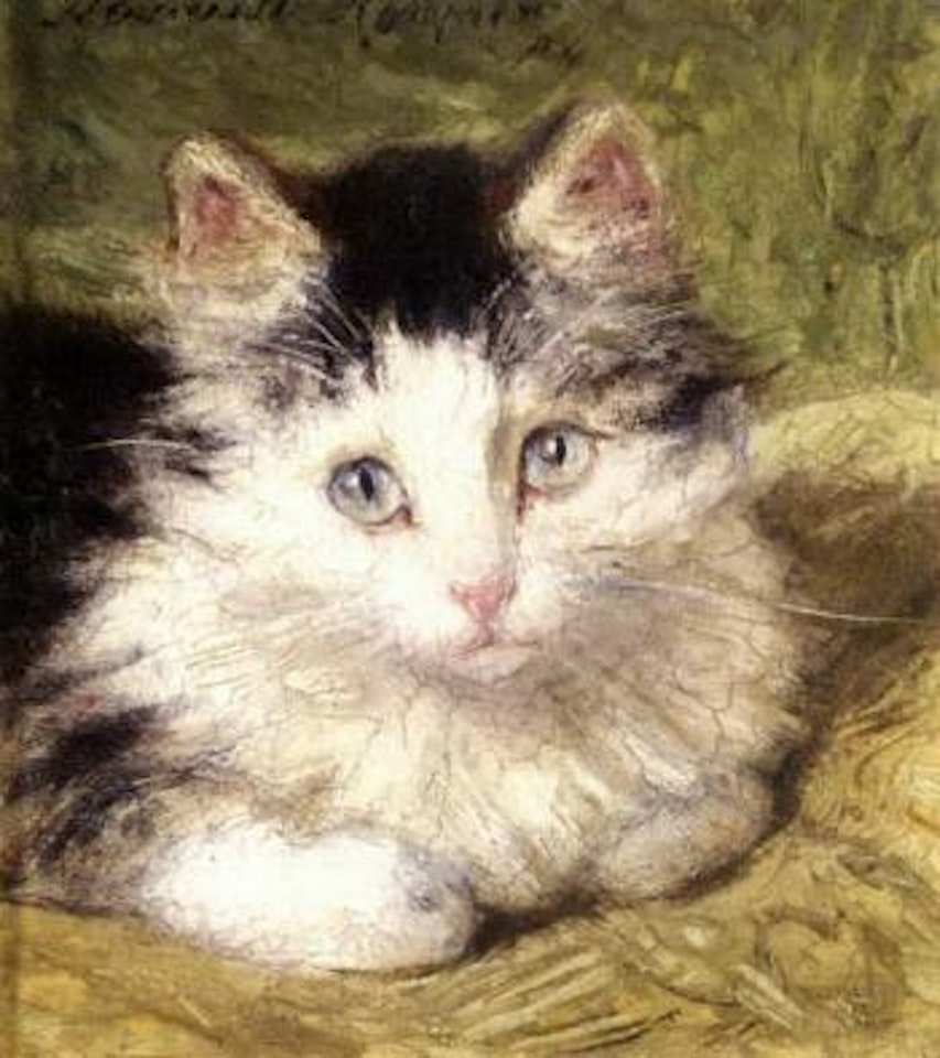 Curious kitten by Henriette Ronner-Knip