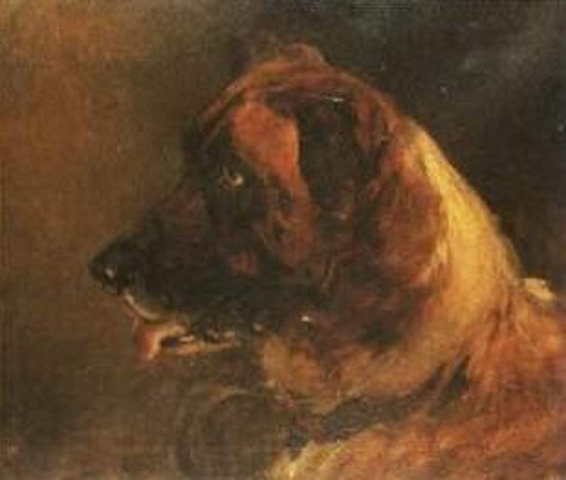 Study of a St. Bernard by Heywood Hardy