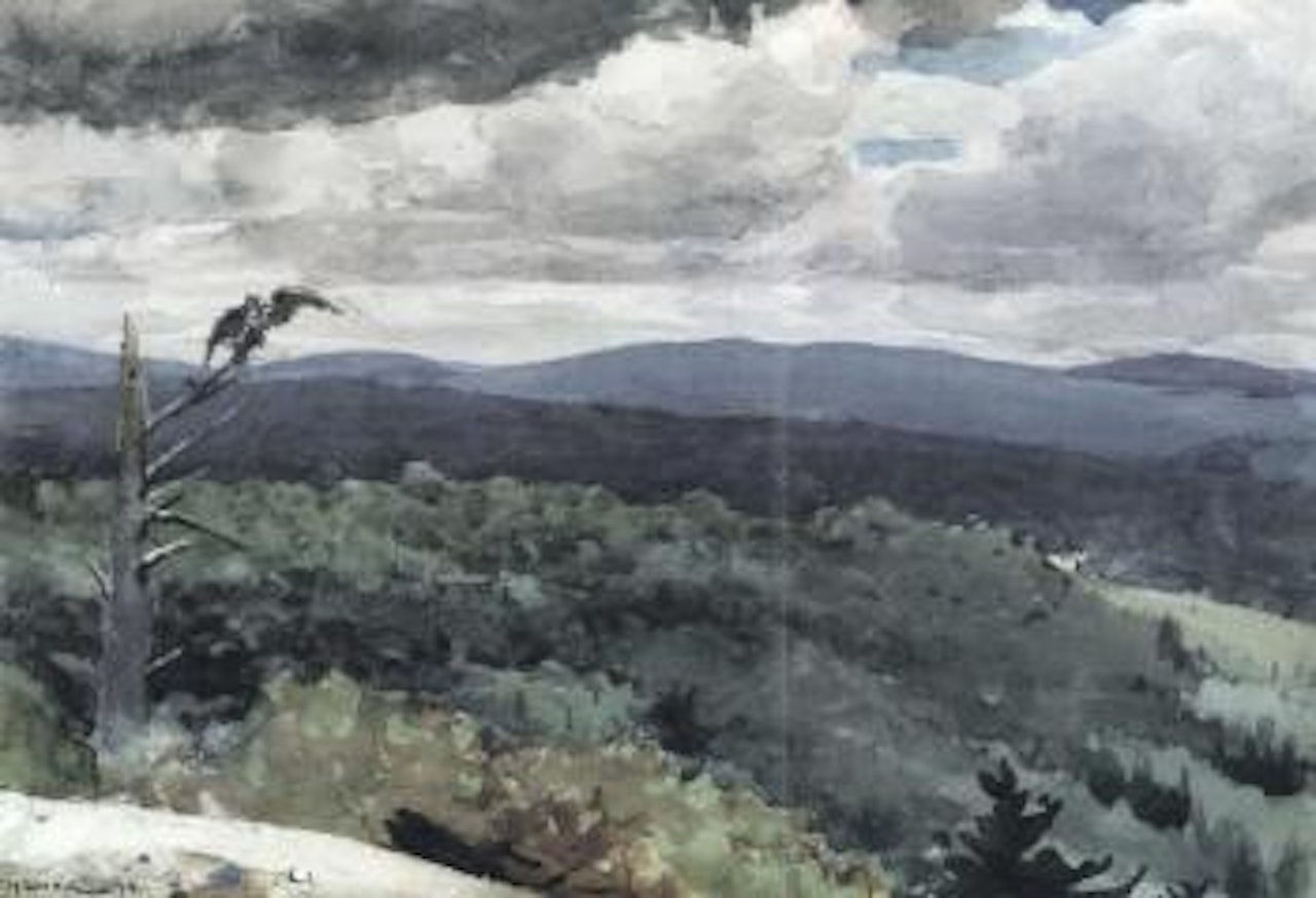 Hilly landscape by Winslow Homer