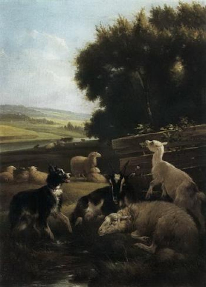 Watching the flock by Henriette Ronner-Knip