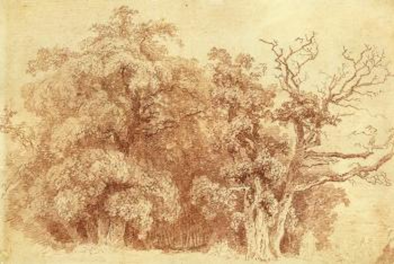 Study of trees at the edge of wood, with figures resting in the shade by Jean-Honoré Fragonard