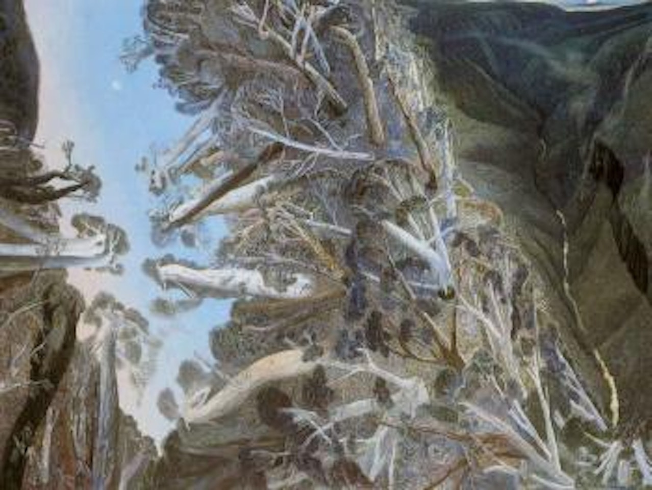 Back Creek gorge to the Coomera by William Francis Robinson