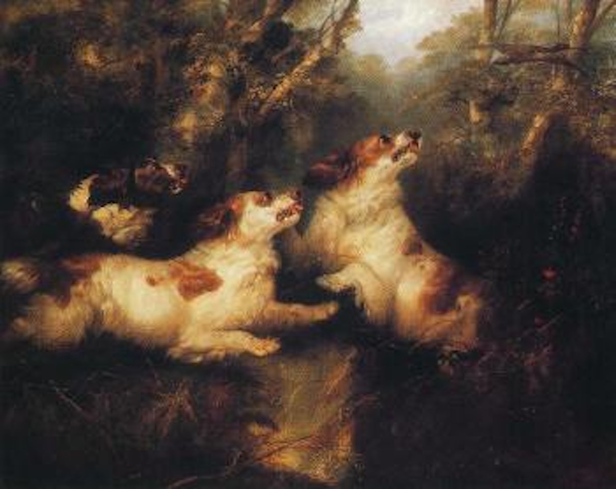 Three dogs chasing a woodcock in woodland by English School