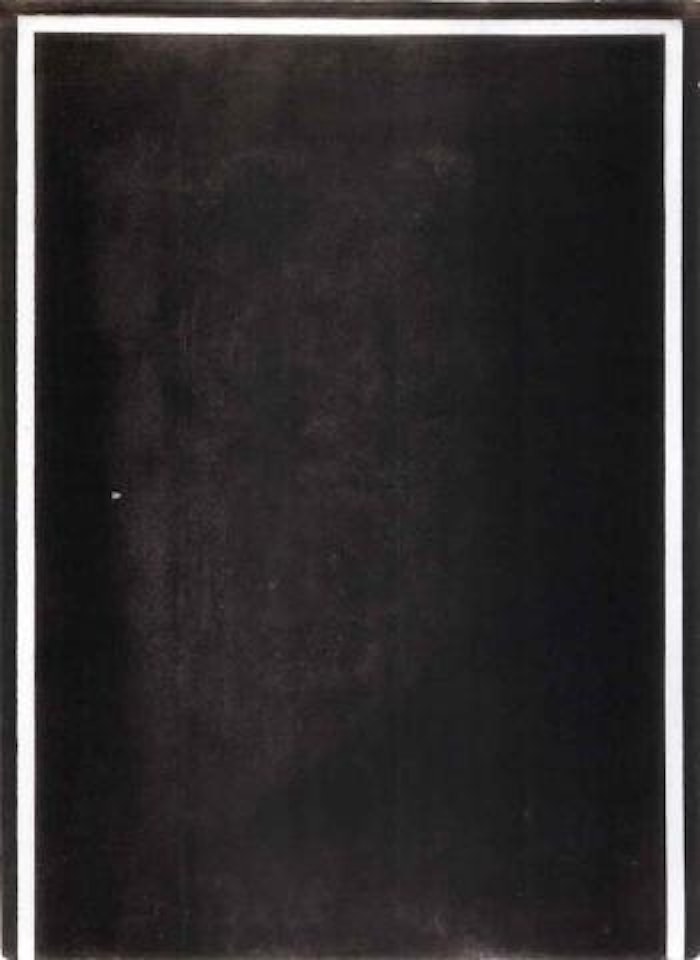 Study for the N drawing by Brice Marden
