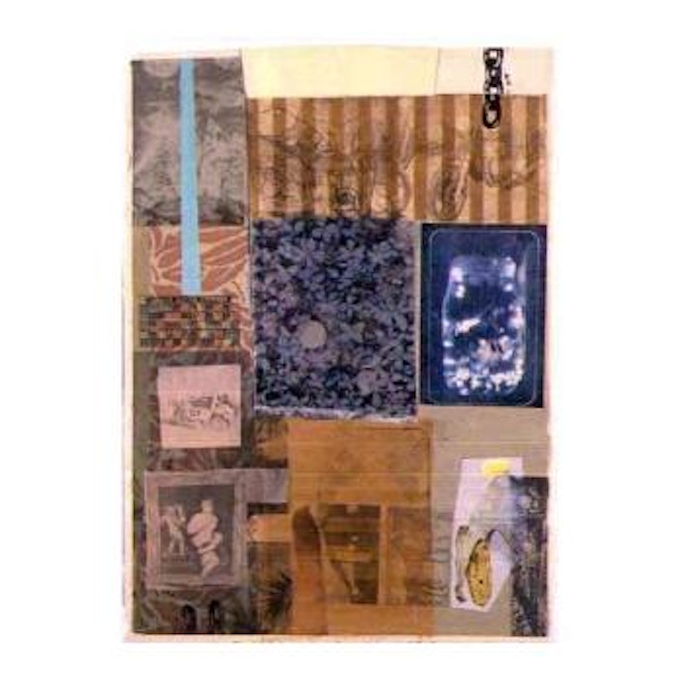 Glade by Robert Rauschenberg