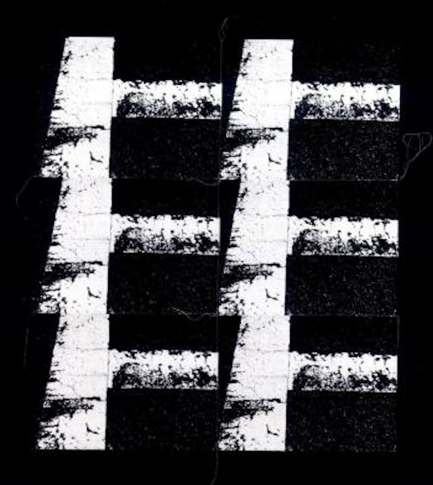 White lines by Andy Warhol