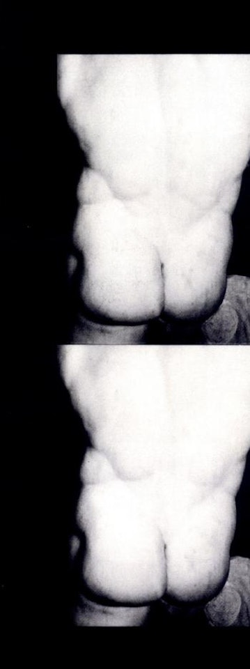 Nude torso, rear view by Andy Warhol