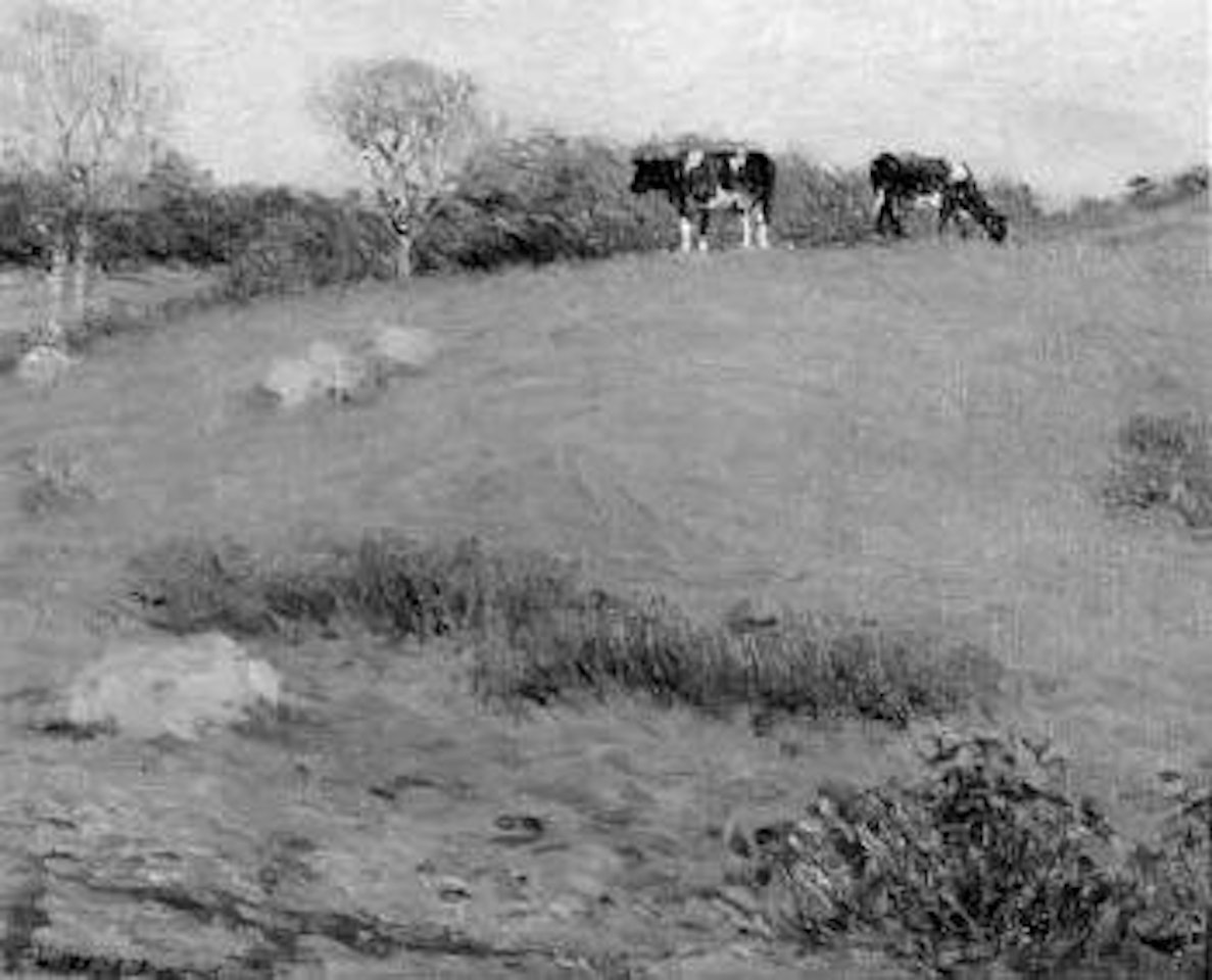 Cows grazing by Aldro Thompson Hibbard